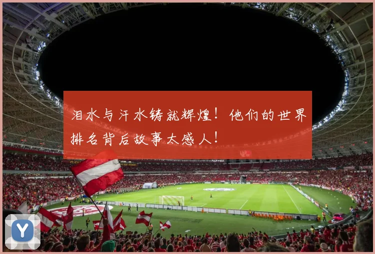 泪水与汗水铸就辉煌!他们的世界排名背后故事太感人!