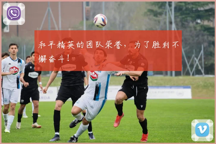 和平精英的团队荣誉,为了胜利不懈奋斗!
